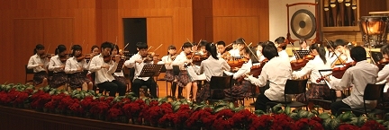 �o�C�I���� �k�� �}�W�R