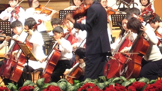 �o�C�I���� �k�� �}�W�R