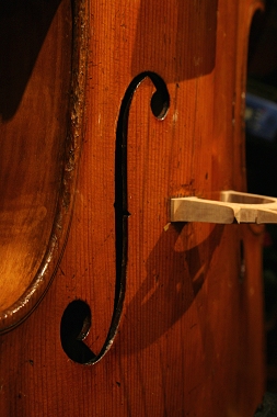 �\�t���b�e�B Soffritti Cello MAGICO