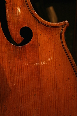 ソフリッティ Soffritti Cello MAGICO