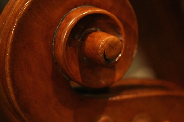 �\�t���b�e�B Soffritti Cello MAGICO