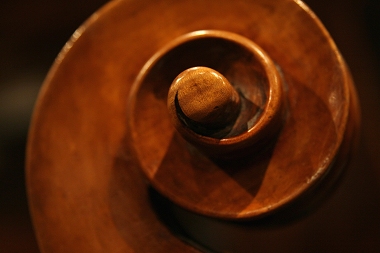 �\�t���b�e�B Soffritti Cello MAGICO