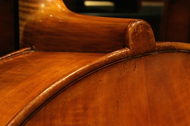 �\�t���b�e�B Soffritti Cello MAGICO