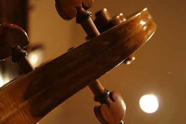 �\�t���b�e�B Soffritti Cello MAGICO