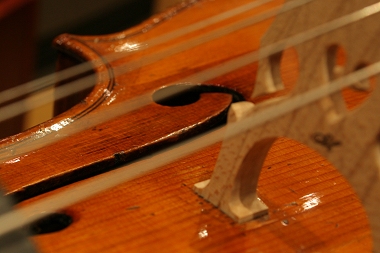 �\�t���b�e�B Soffritti Cello MAGICO