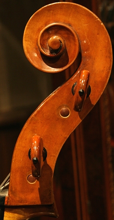 �\�t���b�e�B Soffritti Cello MAGICO