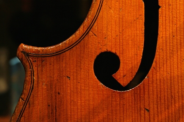 �\�t���b�e�B Soffritti Cello MAGICO