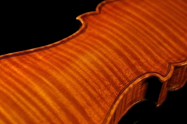 �����b�V�[�W���o�b�^ �o�C�I����