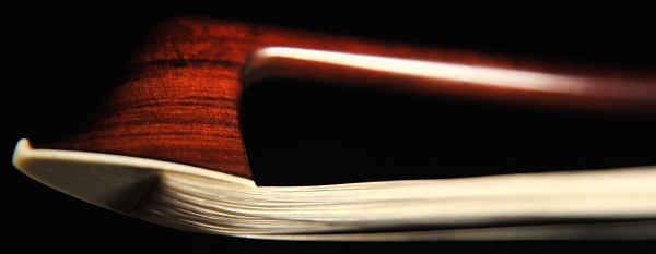 Martin �}���^�� �`�F�� �| �摜