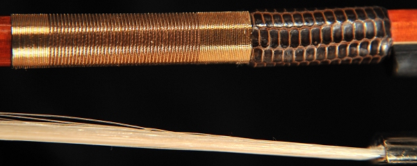 Guillaume �����h �`�F�� �| �摜