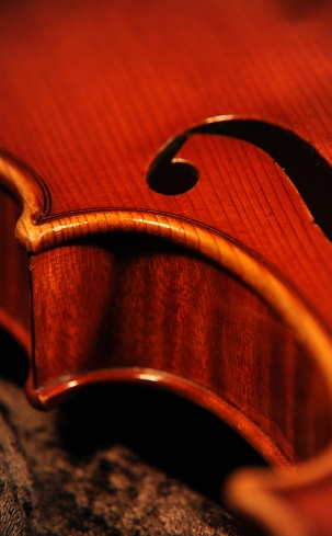 �K�����x���e�B �o�C�I���� �C�^���A