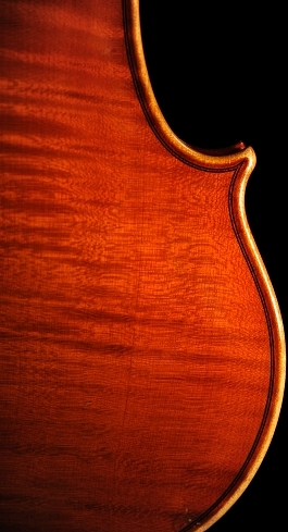 �K�����x���e�B �o�C�I���� �C�^���A