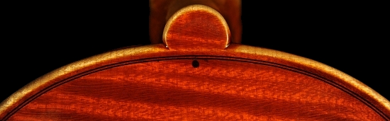 �K�����x���e�B �o�C�I���� �C�^���A