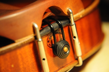 �K�����x���e�B �o�C�I���� �C�^���A