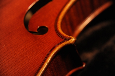 �K�����x���e�B �o�C�I���� �C�^���A