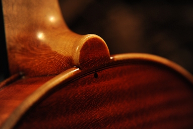 �K�����x���e�B �o�C�I���� �C�^���A