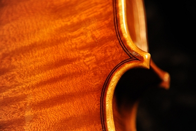 Gio Batta Morassi バイオリン 画像