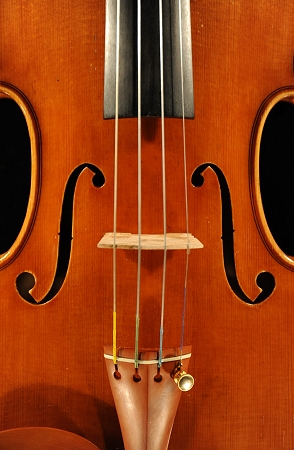 モラッシー バイオリン 画像