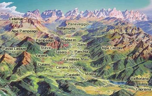 ���@���f�B�t�B�G�������Ր} �}�W�R���ɂ̍ޗ�