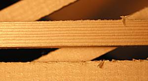 ���� ����